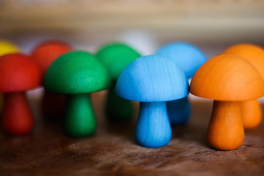 QToys Australia Color mushroom set of 10 - CIR Designs